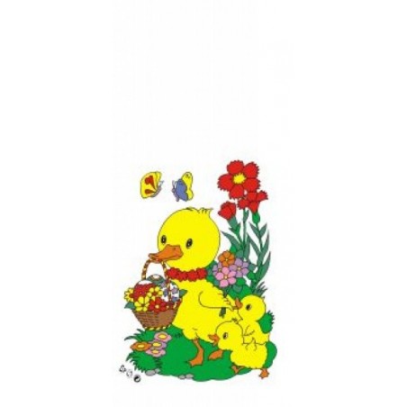 Sáček Kachna